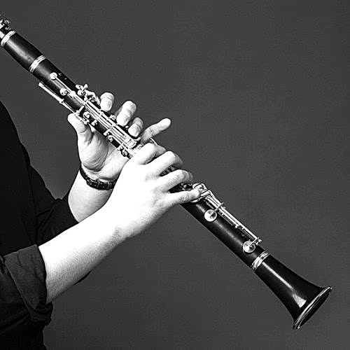 learn-an-instrument-clarinet-optimized-qayd9po54taw6234bgvnwlsrv4yg8nbu104bz24cy0